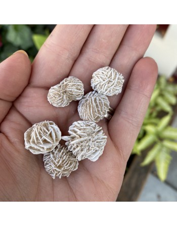 Desert Rose Stone