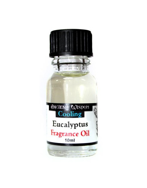 Eucalytus Fragrance Oil 