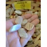 Moonstone Tumblestone