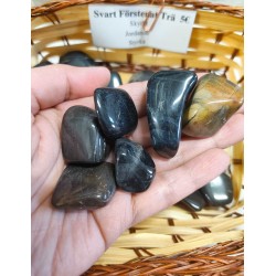 Black Petrified Wood Gemstone