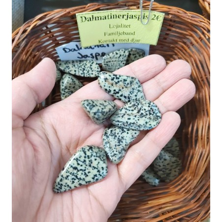 Dalmation Jasper