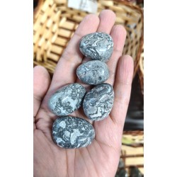 Map Jasper Tumbled Stone