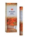 Morning mist Hem Incense
