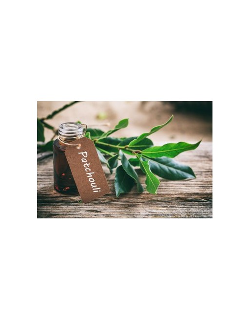 Lavender Pure Essential Oil