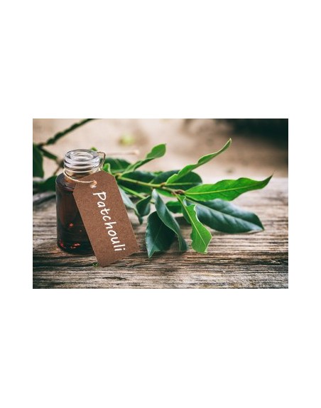 Lavender Pure Essential Oil
